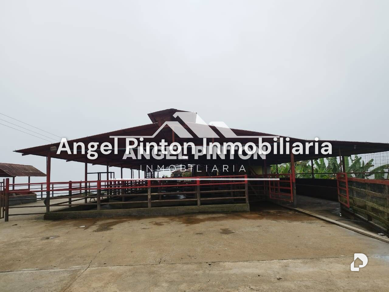 Finca en La Azulita – 12