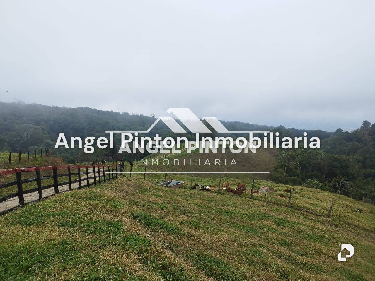Finca en La Azulita – 19