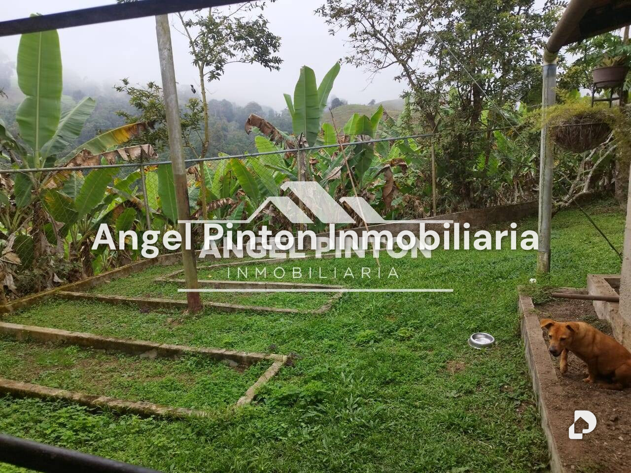 Finca en La Azulita – 25