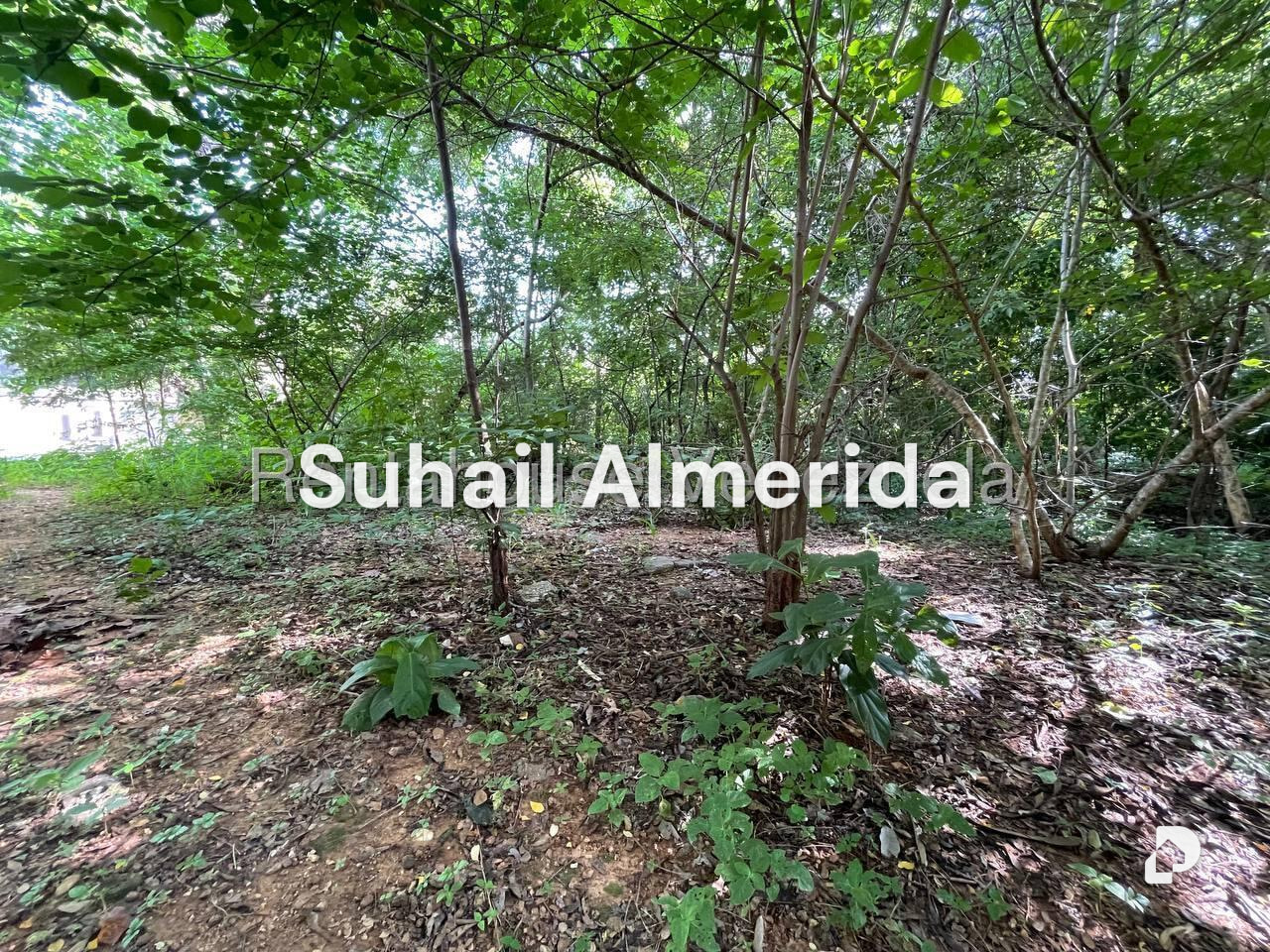 Terreno en Agua Blanca, Valencia
