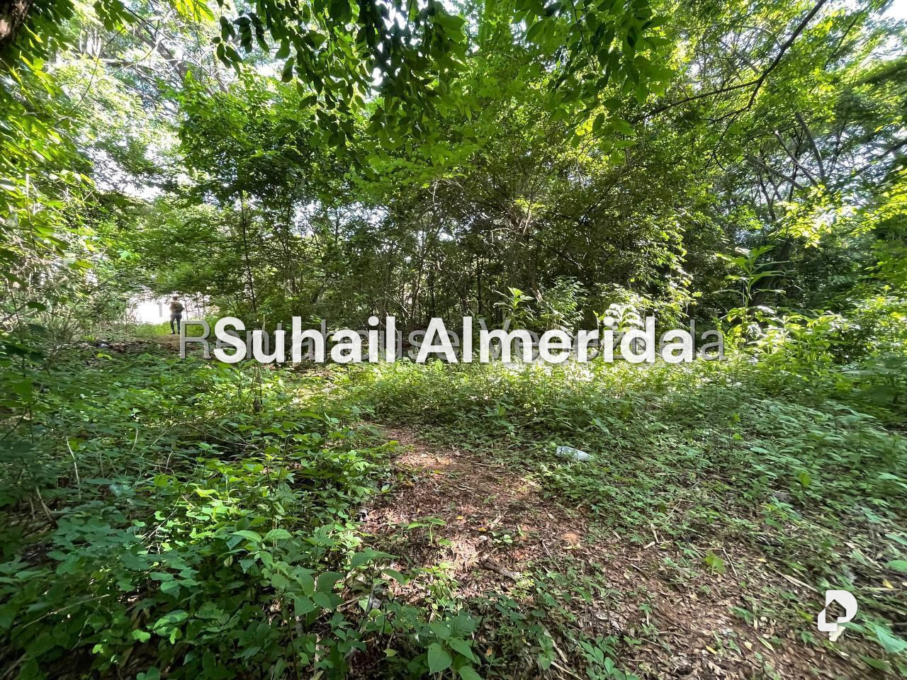 Terreno en Agua Blanca, Valencia