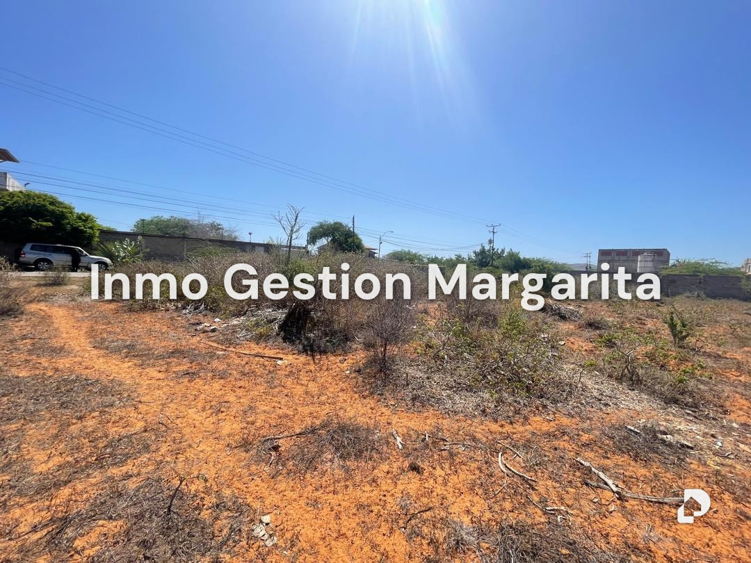 Terreno en Arismendi – 11