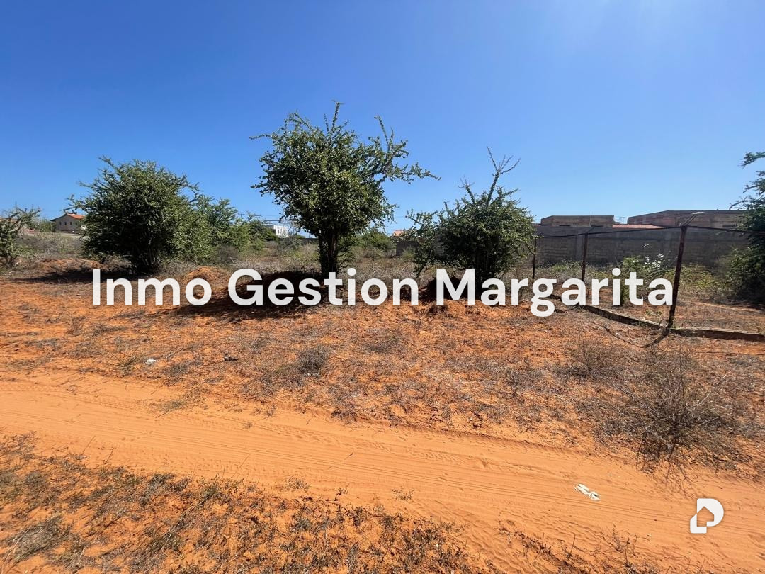 Terreno en Arismendi – 12