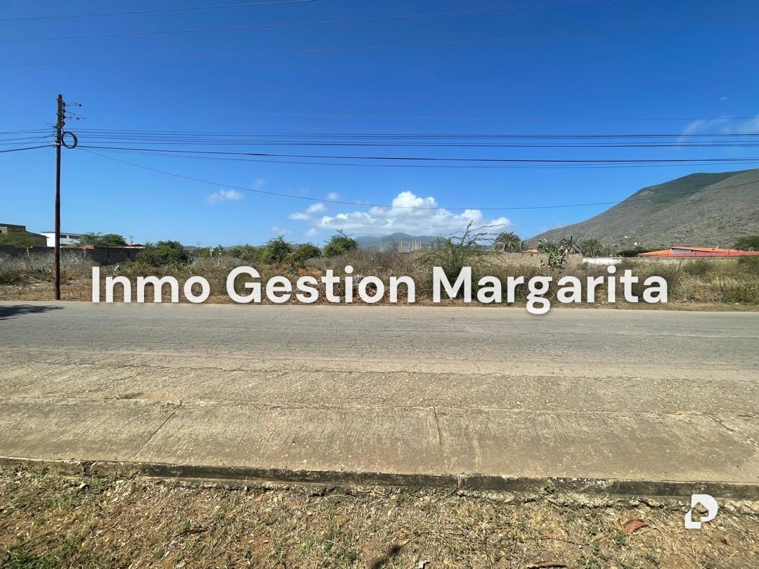 Terreno en Arismendi – 4
