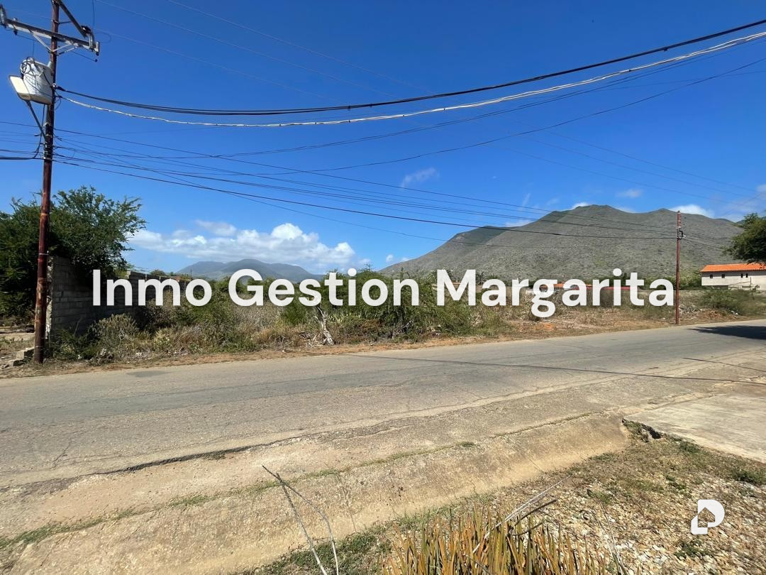 Terreno en Arismendi – 2