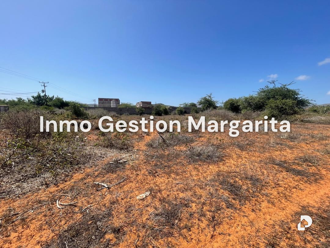 Terreno en Arismendi – 10