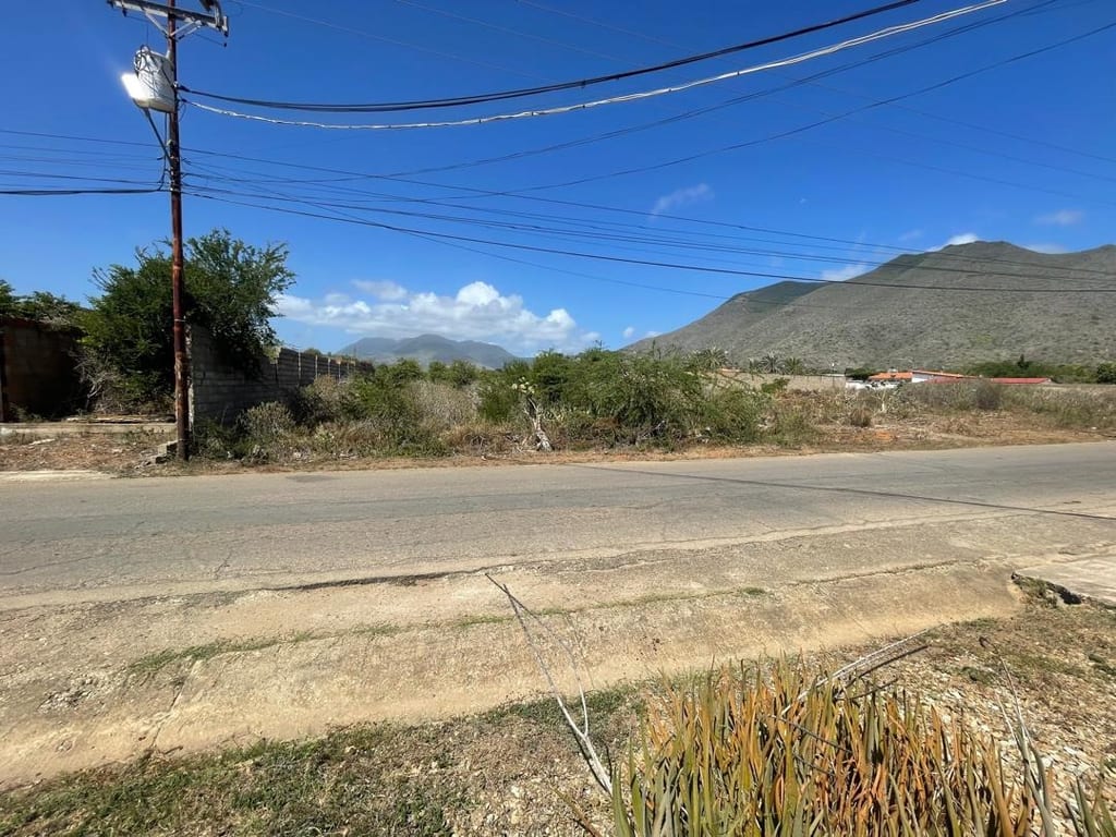 Terreno en Arismendi - 1