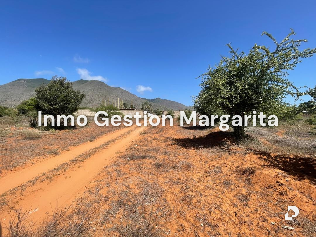 Terreno en Arismendi – 16
