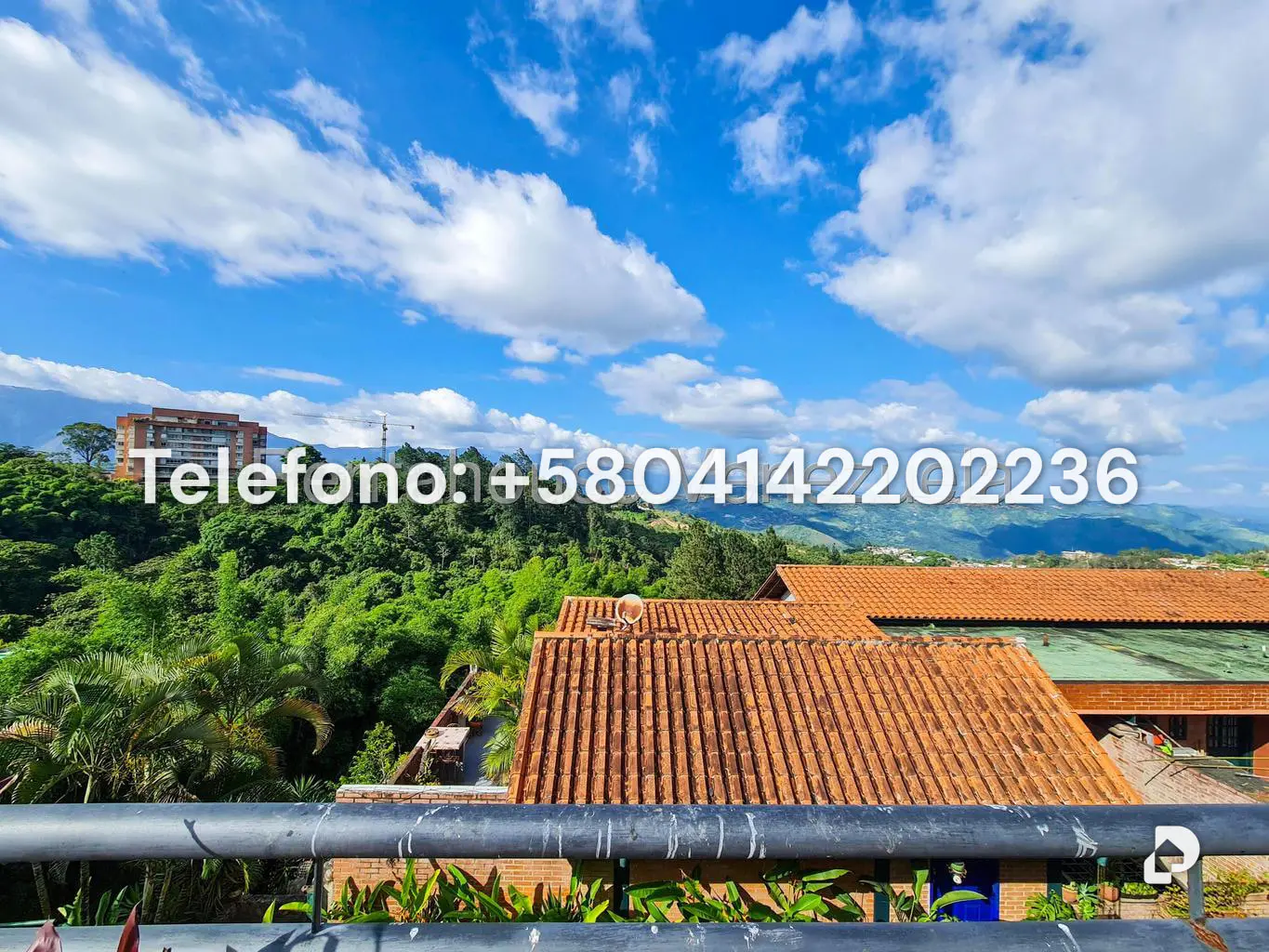 House in Alto Hatillo, Caracas – 62