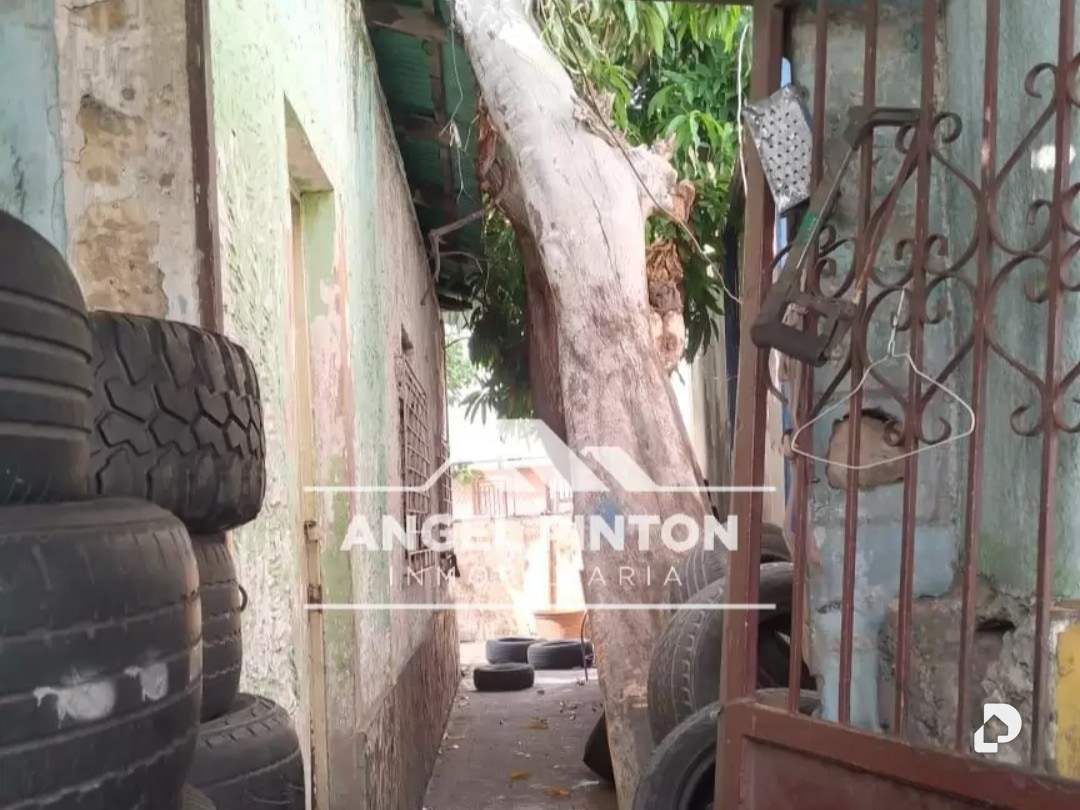 Local comercial en Maracaibo – 11