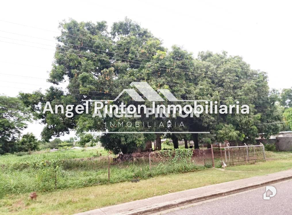 Terreno en Durigua Vieja, Acarigua – 2