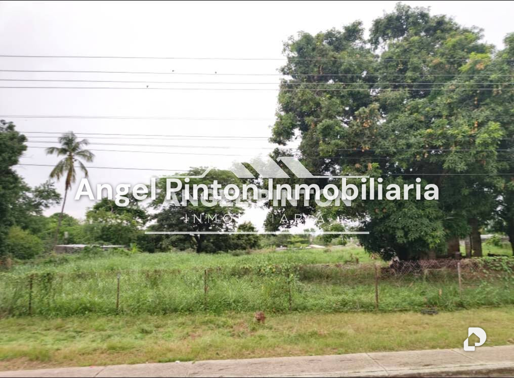 Terreno en Durigua Vieja, Acarigua – 1