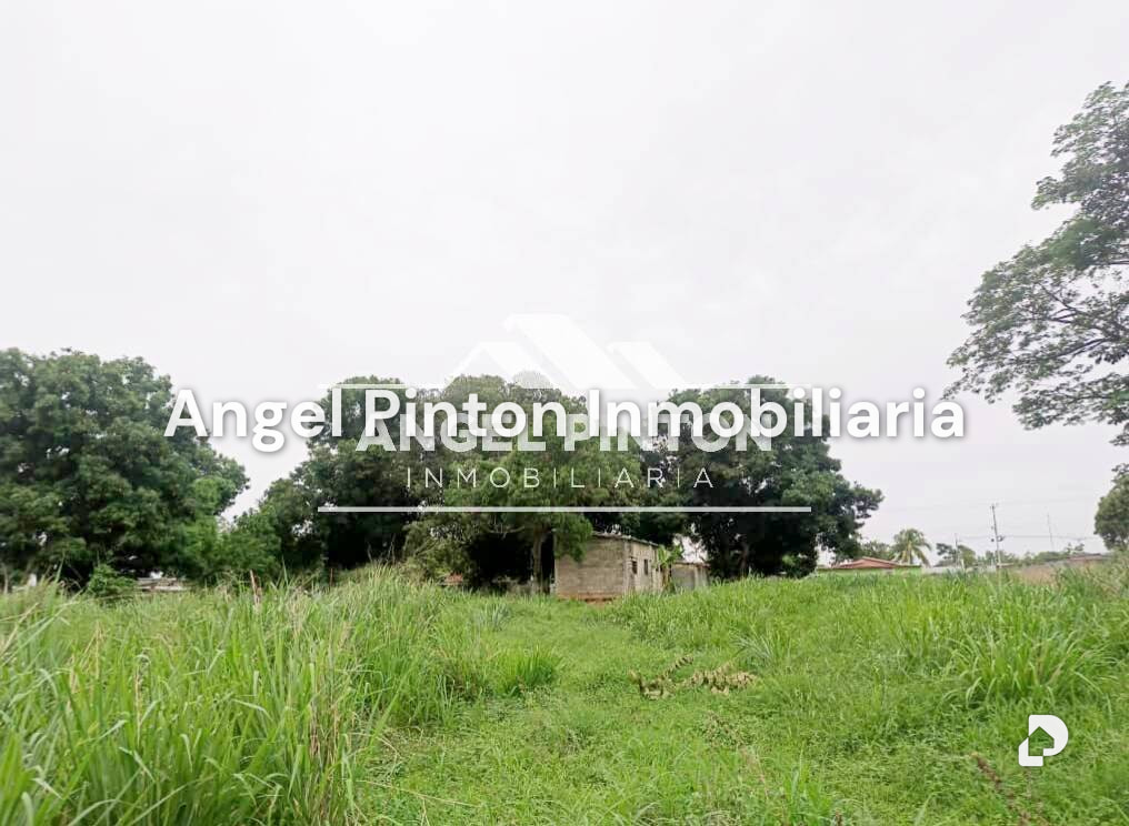 Terreno en Durigua Vieja, Acarigua – 4