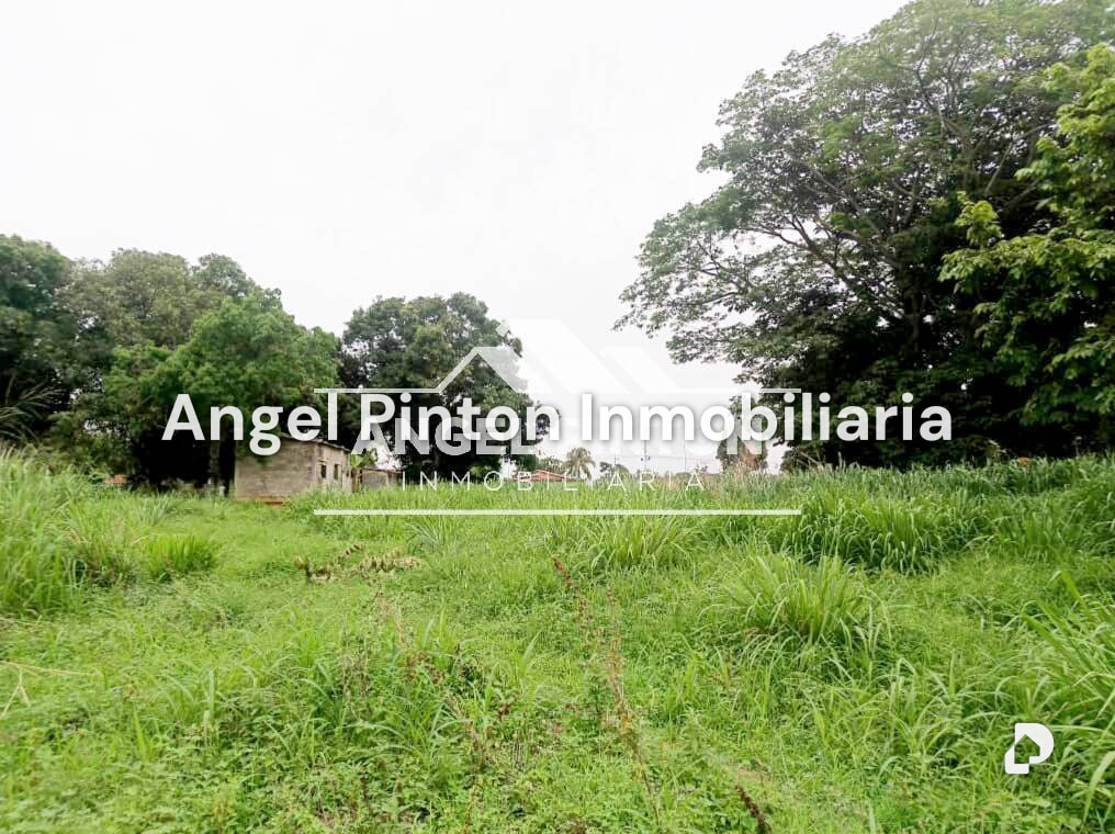 Terreno en Durigua Vieja, Acarigua – 5