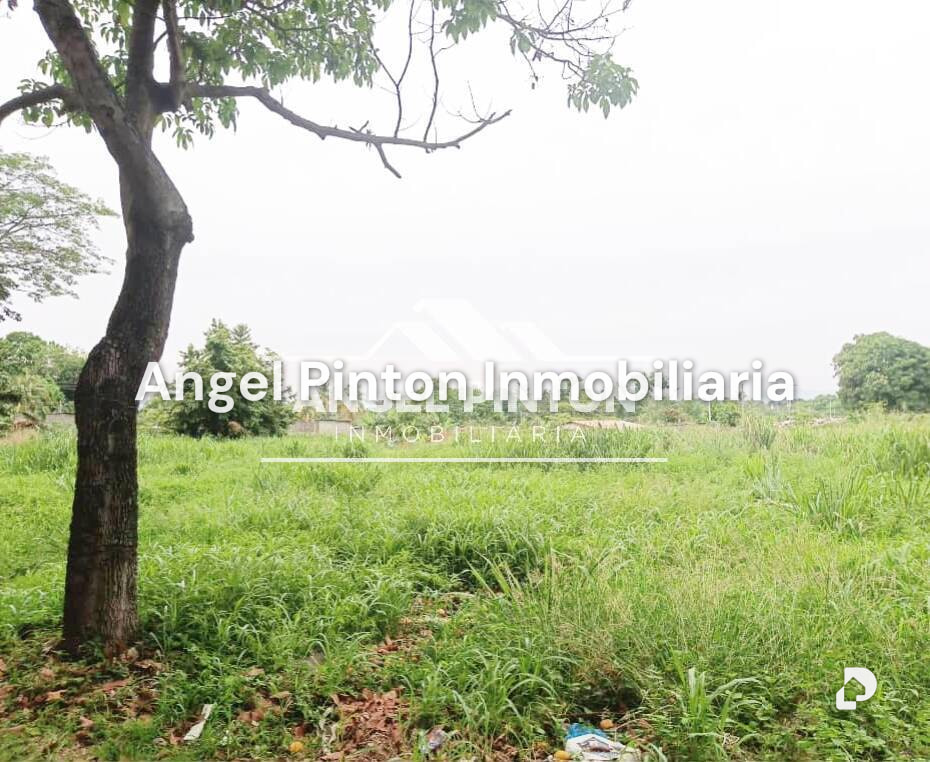Terreno en Durigua Vieja, Acarigua – 6
