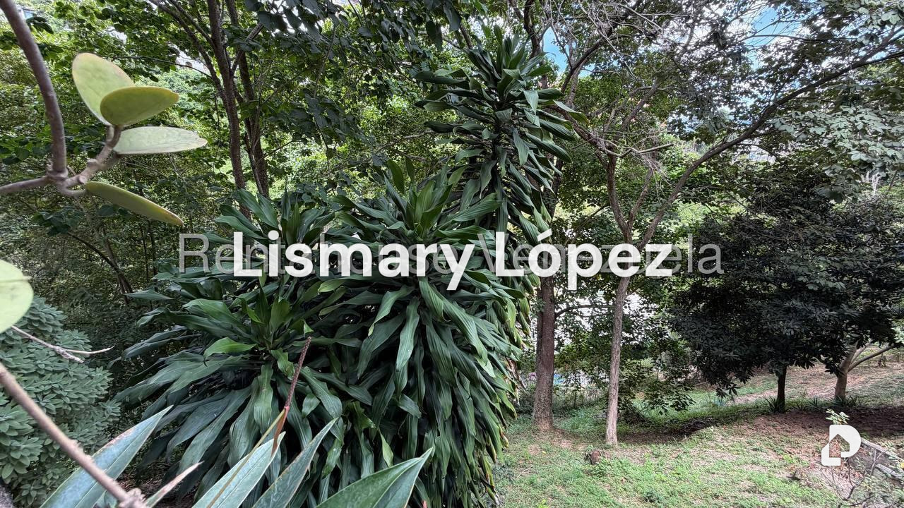 Apartment in Colinas de Bello Monte, Caracas – 43
