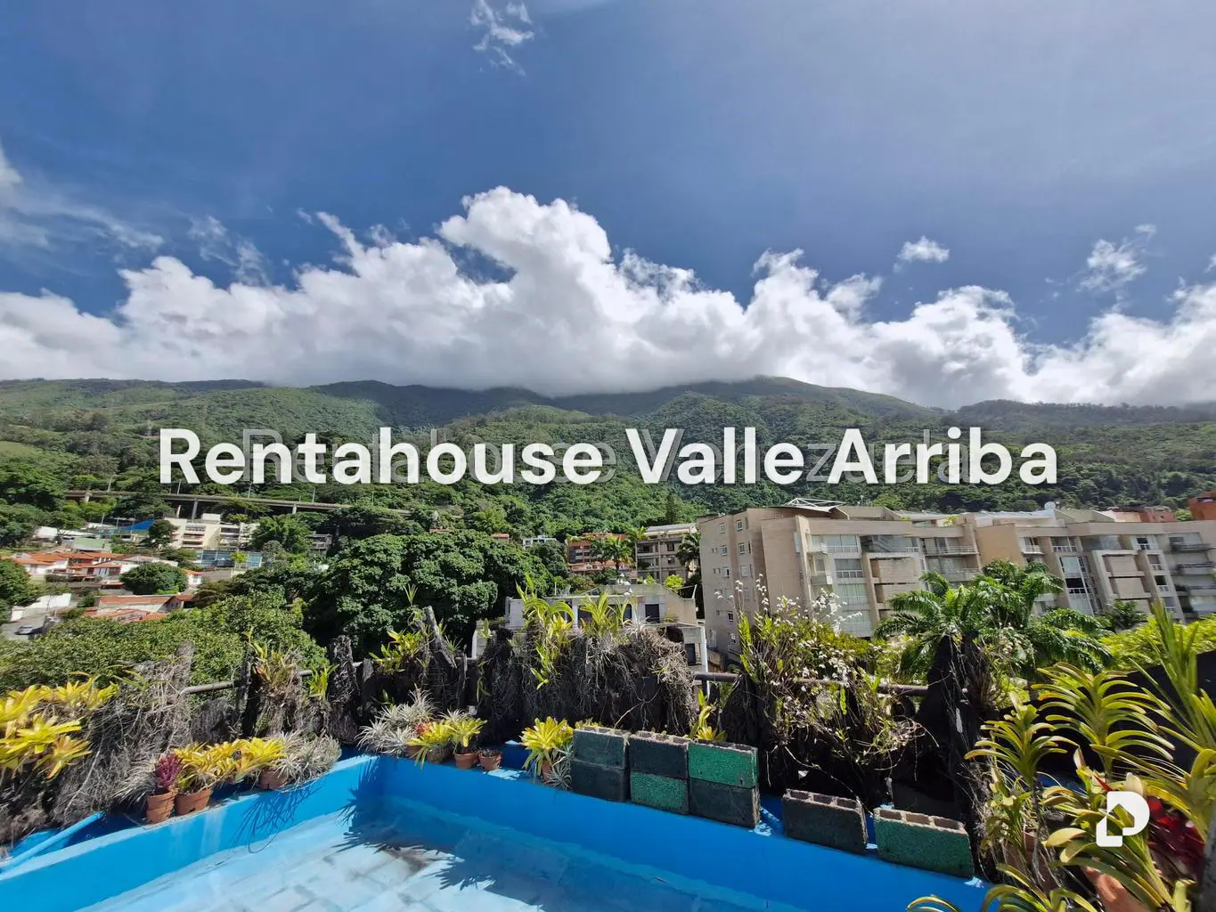 Apartamento en Los Palos Grandes, Caracas – 13