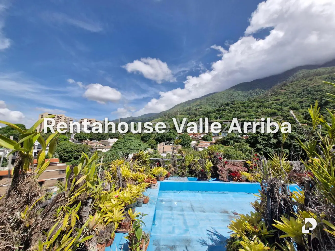 Apartamento en Los Palos Grandes, Caracas – 15
