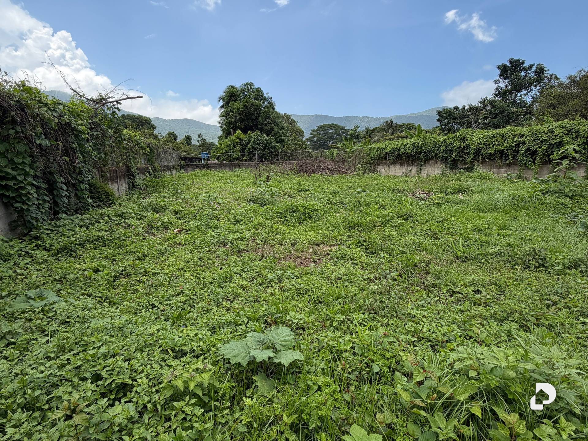 Terreno en Ocumare de la Costa – 4