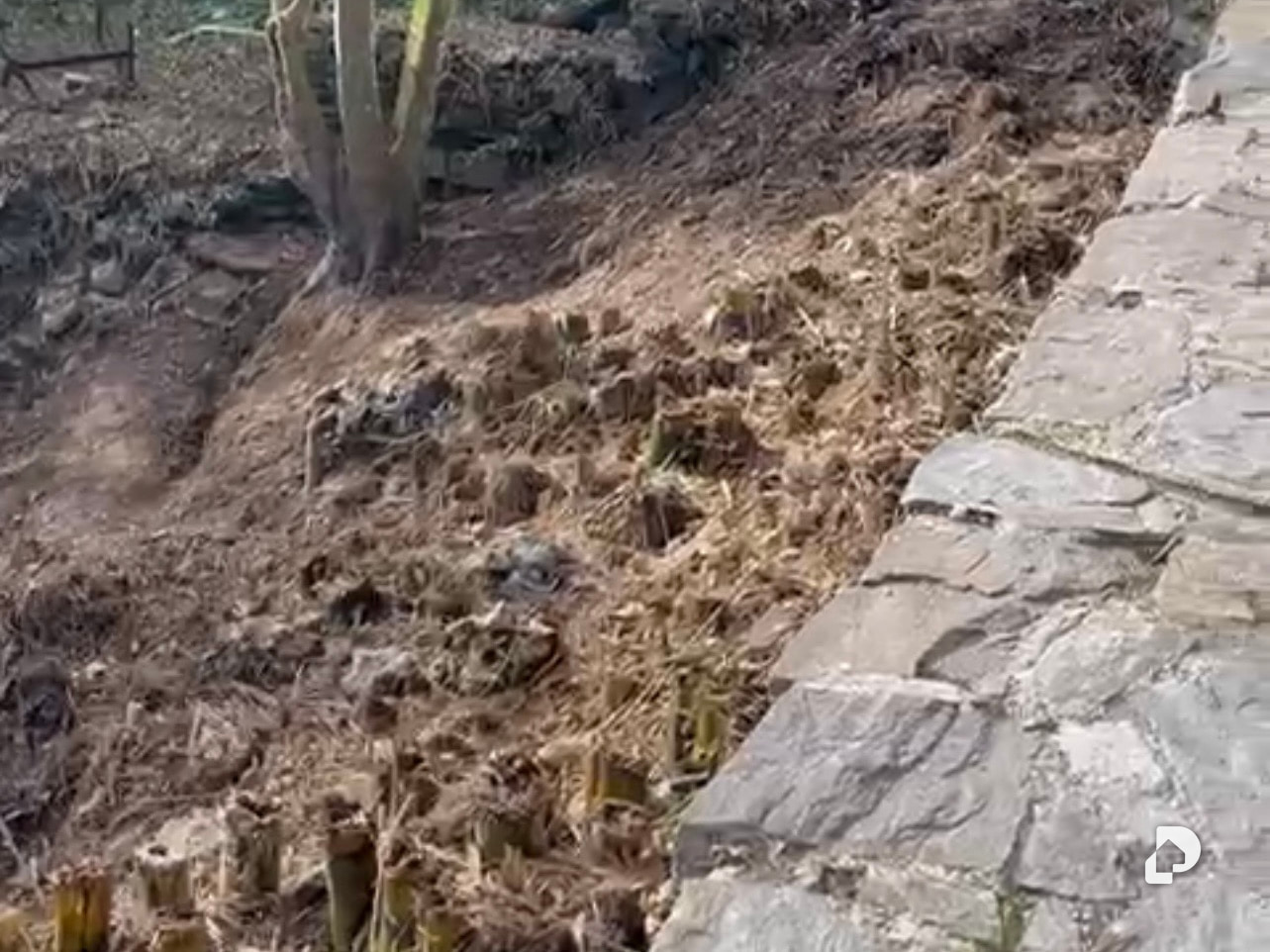 Terreno en Caracas – 5