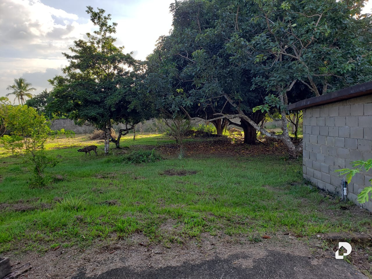 Finca en San Vicente, Maturín – 6