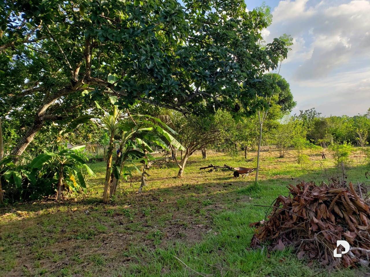 Finca en San Vicente, Maturín – 22