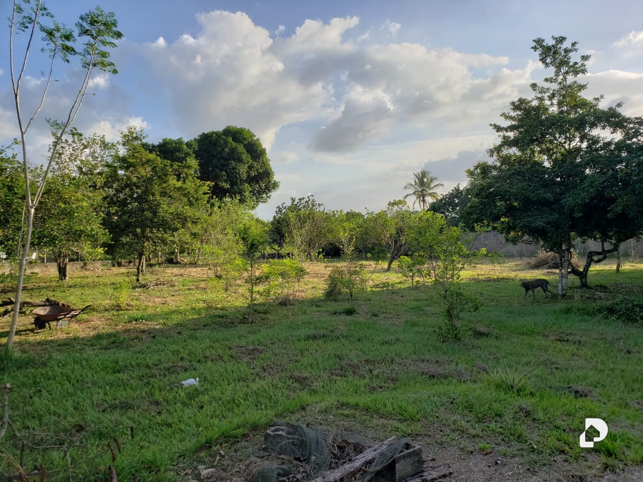 Finca en San Vicente, Maturín – 10