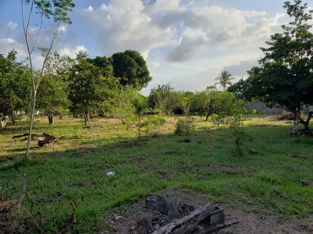 Farm in Maturín - 1