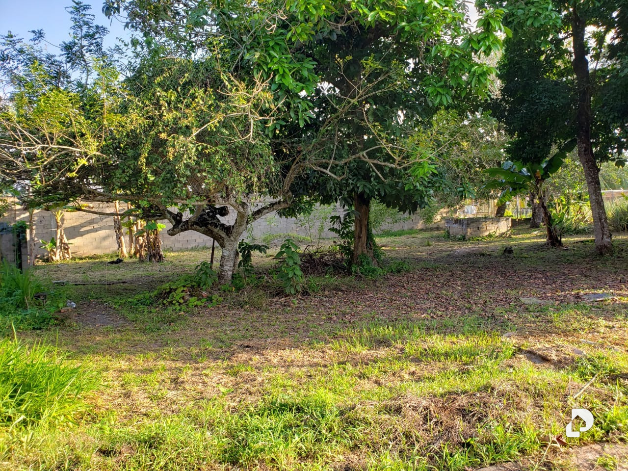 Finca en San Vicente, Maturín – 8