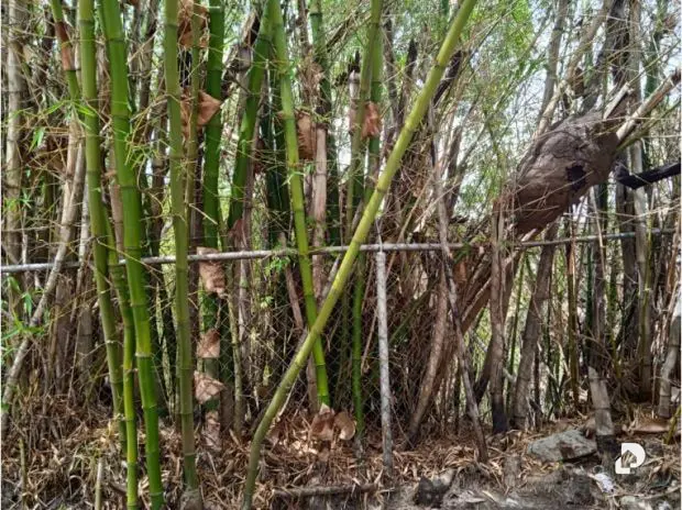 Terreno en La Trinidad, Caracas – 6