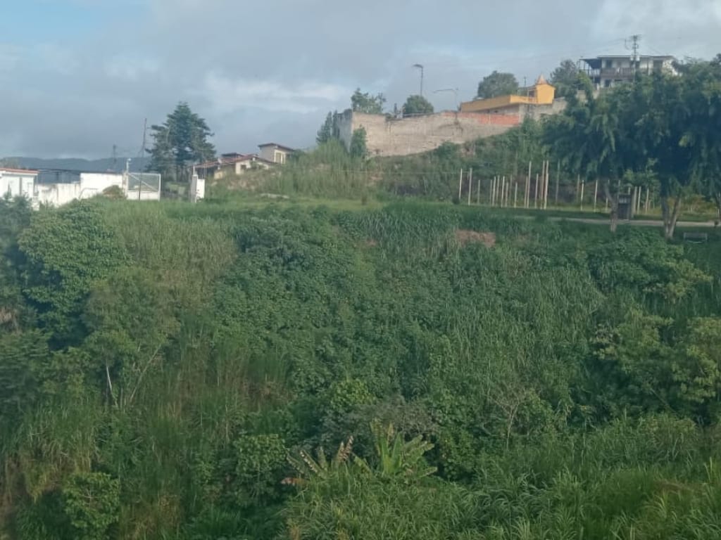 Land in Municipio Los Salias - 1