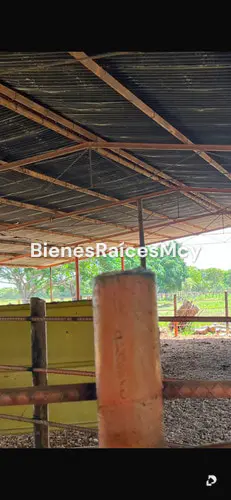 Finca en Guayabal – 5