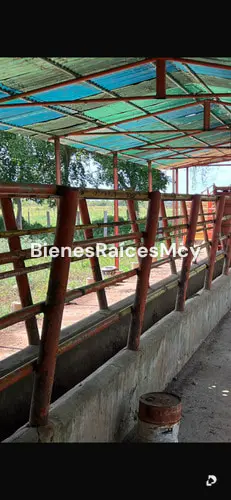 Finca en Guayabal – 7