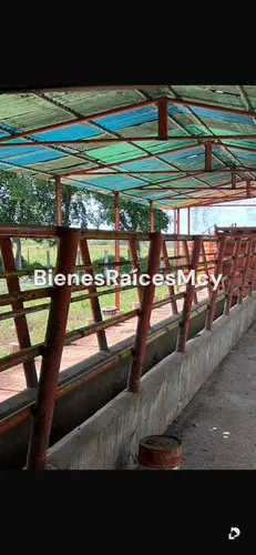 Finca en Guayabal – 8