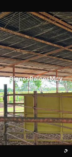 Finca en Guayabal – 6