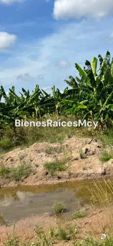 Finca en Guayabal – 9