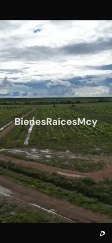 Finca en Guayabal – 4