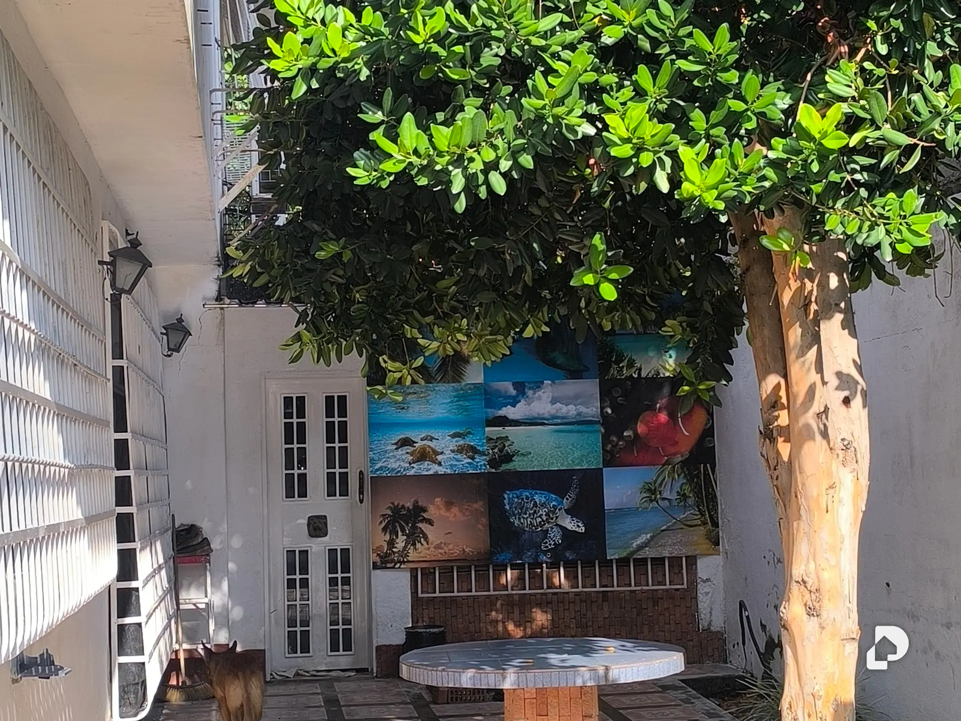 Casa en Las mayas, El Limón – 6