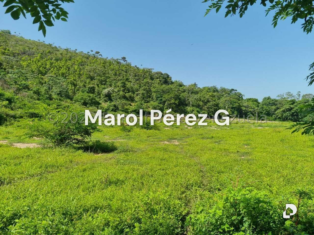 Finca en Aguirre, Montalbán