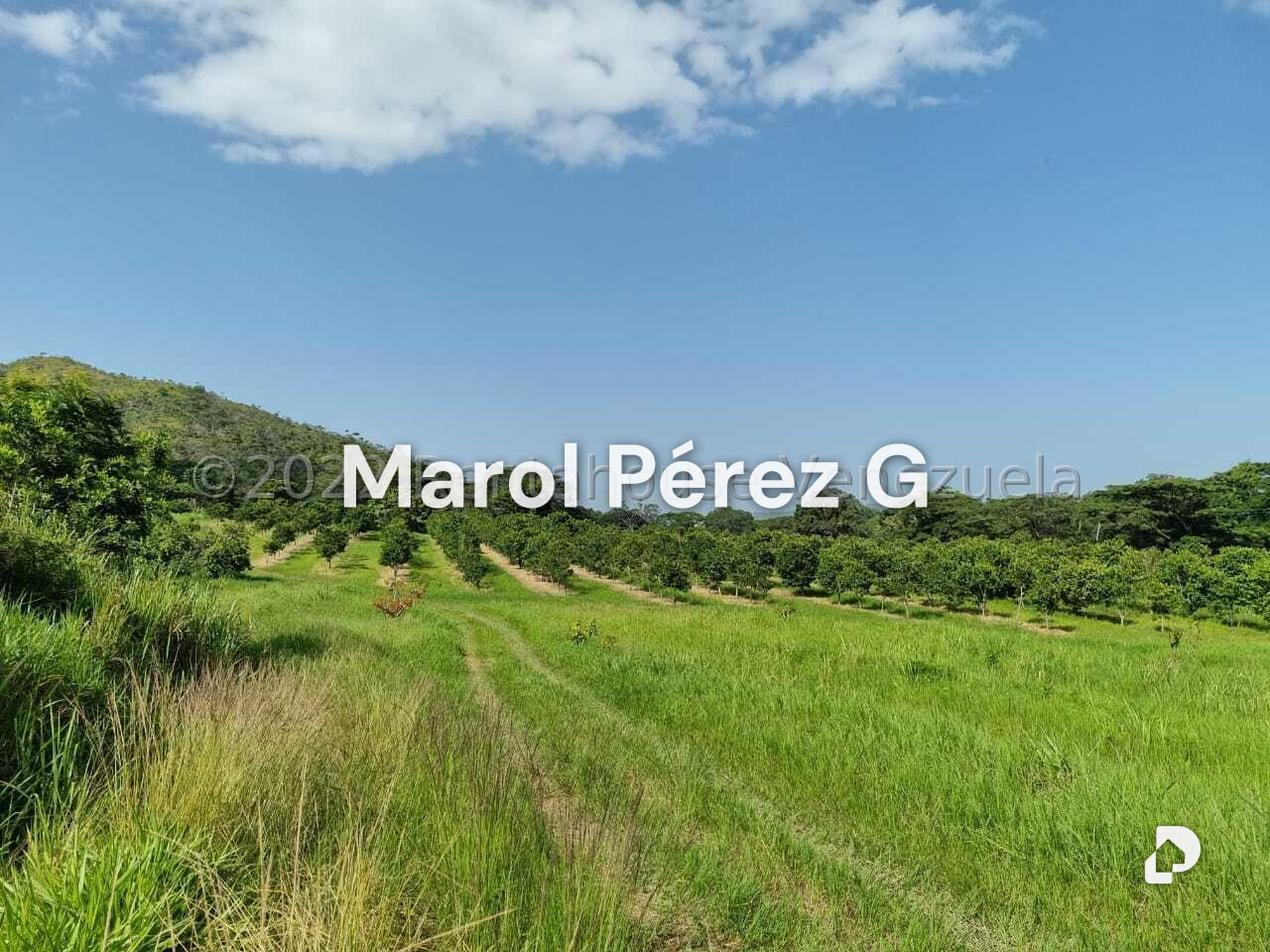 Finca en Aguirre, Montalbán