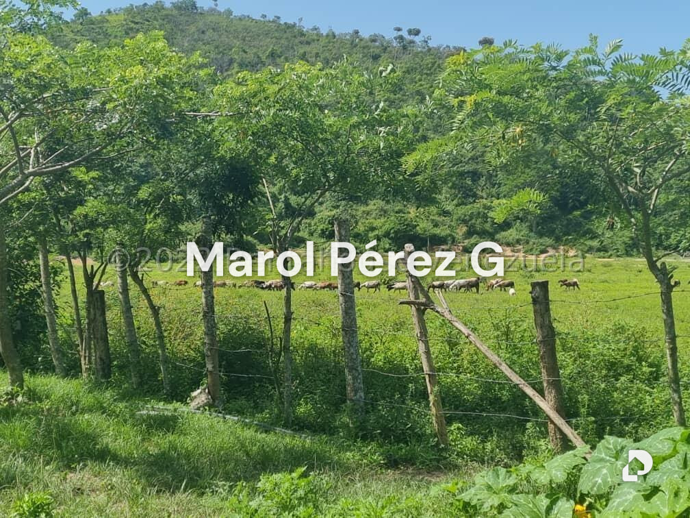 Finca en Aguirre, Montalbán