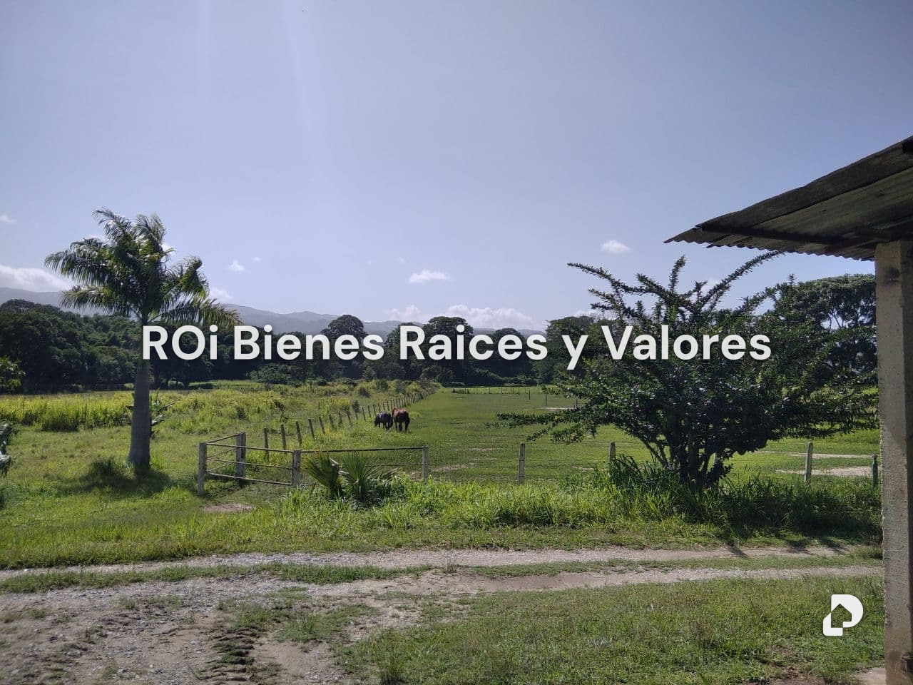 Finca en Bejuma – 9