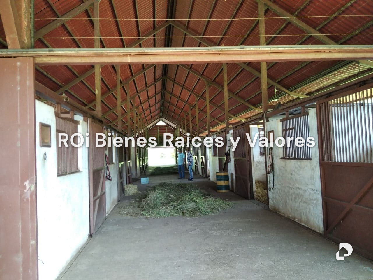 Finca en Bejuma – 11