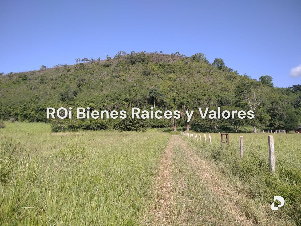 Finca en Bejuma – 8