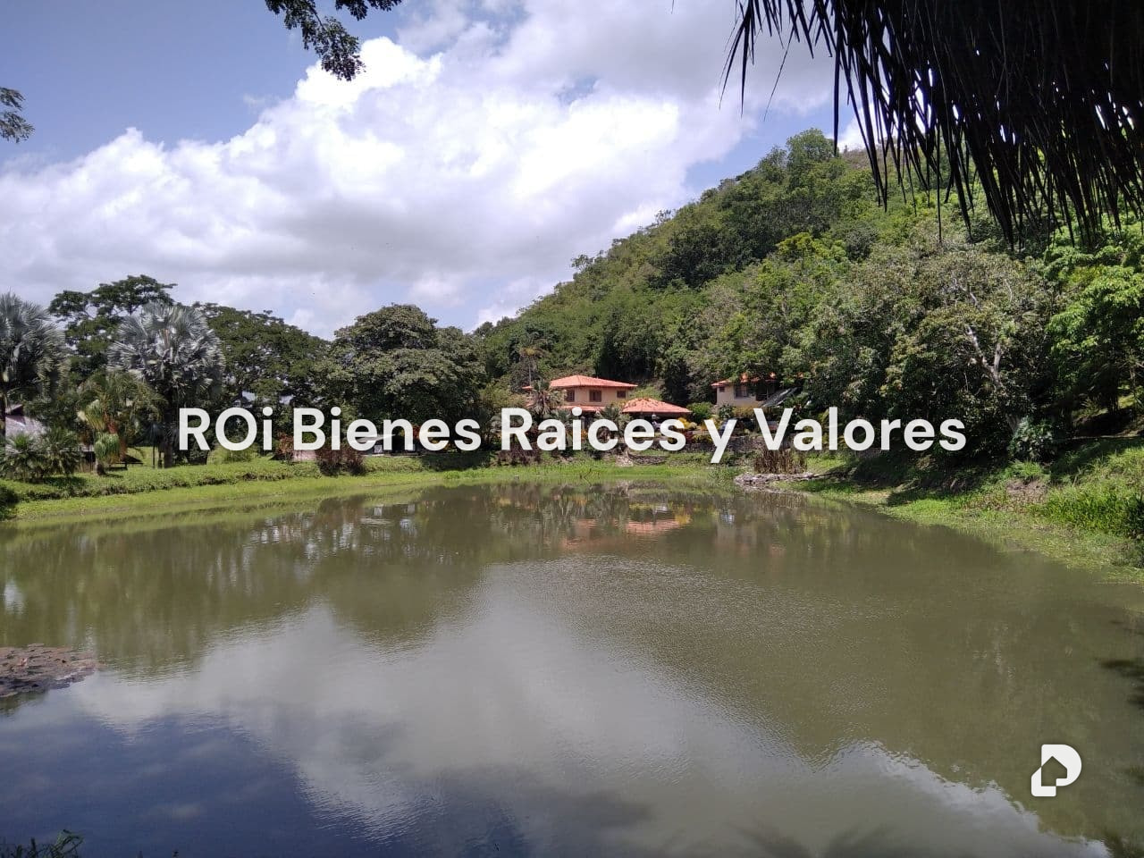 Finca en Bejuma – 6