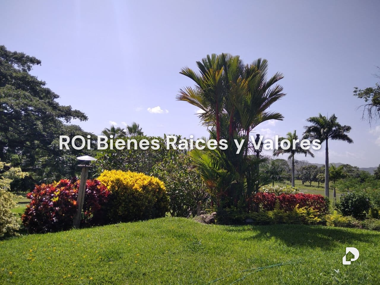 Finca en Bejuma – 3