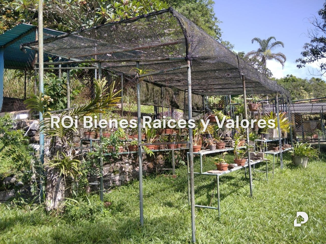 Finca en Bejuma – 4