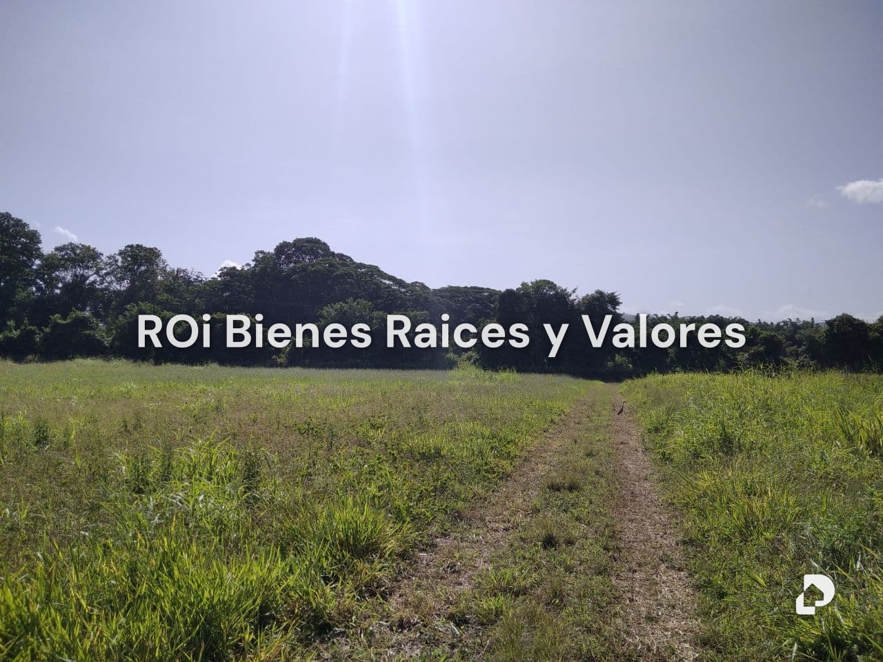 Finca en Bejuma – 7