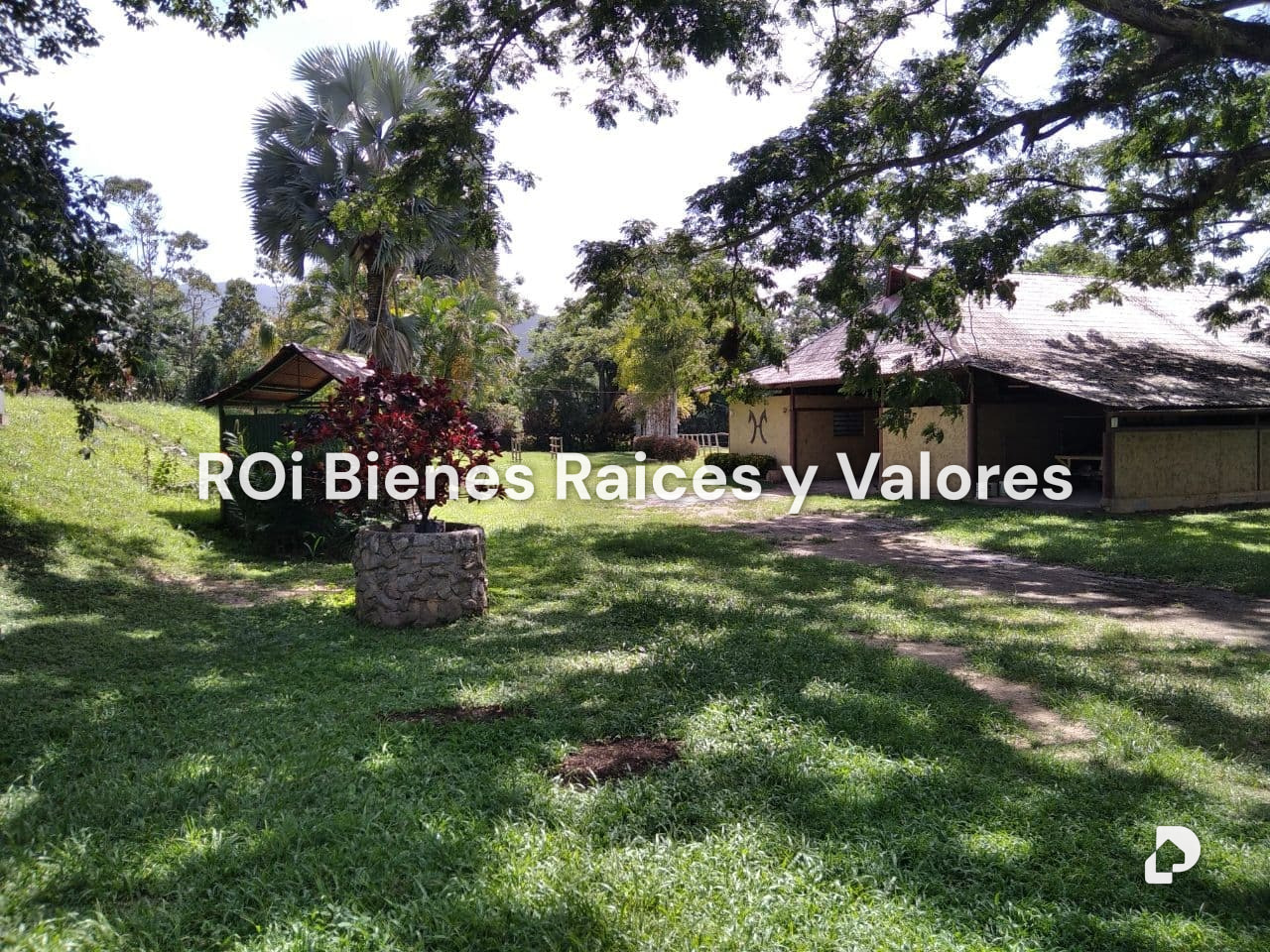 Finca en Bejuma – 5