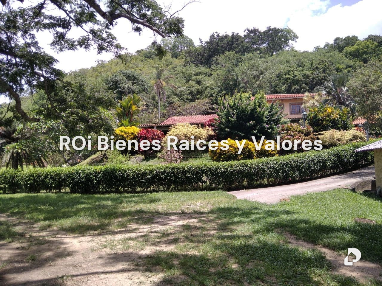 Finca en Bejuma – 1